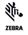 Zebra1 (Copy)